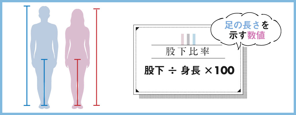 股下比率の計算方法