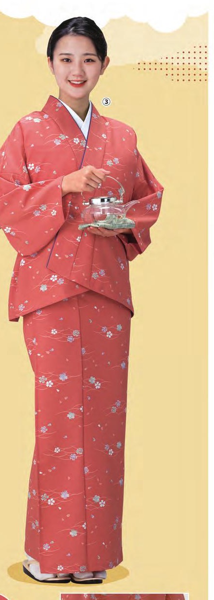 NI-3003 【桜と露芝】バックシャーリング式二部式着物（二部式着物）